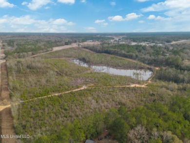(private lake, pond, creek) Acreage For Sale in Wiggins Mississippi