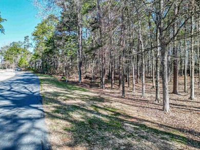 Situated in the Planters area of Reynolds Lake Oconee, this - photo 2