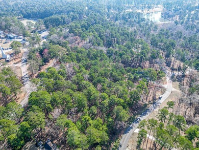 Situated in the Planters area of Reynolds Lake Oconee, this - photo 8