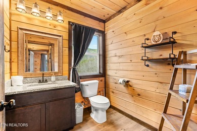 Welcome to The Cozy Bear--your private Smoky Mountain escape - photo 15