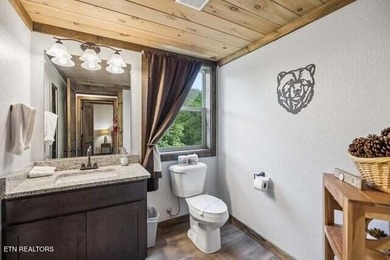 Welcome to The Cozy Bear--your private Smoky Mountain escape - photo 38