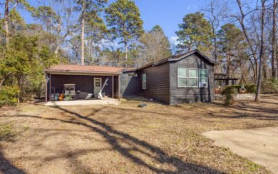 Lakefront Retreat - photo 24