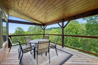 Welcome to The Cozy Bear--your private Smoky Mountain escape - photo 48