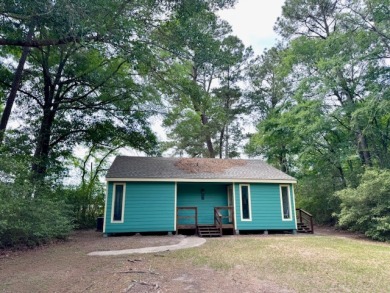 Charming Cozy Cottage! - photo 27