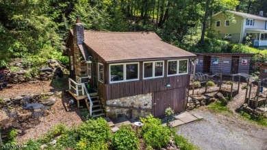 Lake Home For Sale in Sandyston Township, New Jersey