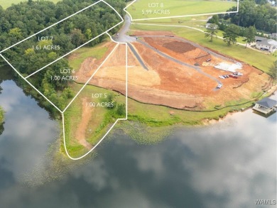 Lake Lot For Sale in Northport, Alabama