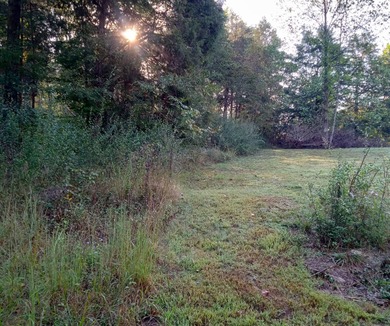 Lake Lot For Sale in Leitchfield, Kentucky