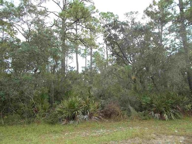 (private lake, pond, creek) Lot For Sale in Panacea Florida
