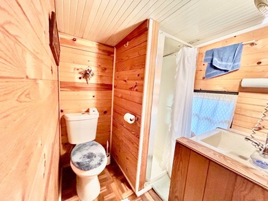 This mobile home is located in a peaceful 55+ community and - photo 10