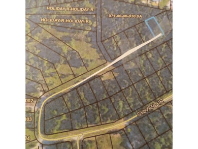 PURCHASE THIS LOT AND GET ANOTHER LOT FREE.(Lot #59 Lakefront - photo 2