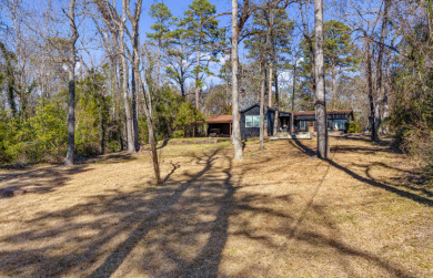Lakefront Retreat - photo 29