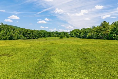 Exceptional 36 acre oceanfront parcel in Camden featuring 1.655 - photo 8
