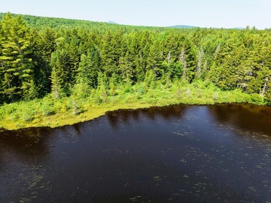 Escape to the heart of Maine's North Woods with this exceptional - photo 1