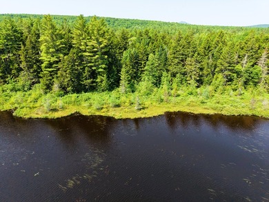 Escape to the heart of Maine's North Woods with this exceptional - photo 3