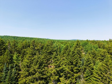 Escape to the heart of Maine's North Woods with this exceptional - photo 10
