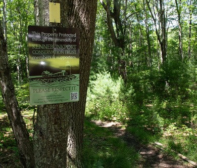 This 1.71-acre private wooded lot is ready for you to build your - photo 3
