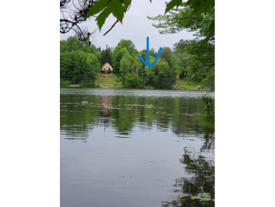 Town of Indian Lake! 100 FT WATERFRONT LOT! WOW!! Build here - Lake Acreage For Sale in Indian Lake, New York