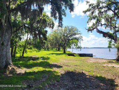 Opportunity is endless! 183 acres in Bay St. Louis! Over 1/2 - photo 2