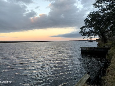 Opportunity is endless! 183 acres in Bay St. Louis! Over 1/2 - photo 3