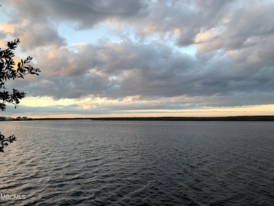 Opportunity is endless! 183 acres in Bay St. Louis! Over 1/2 - photo 5