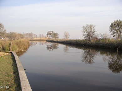 Opportunity is endless! 183 acres in Bay St. Louis! Over 1/2 - photo 6
