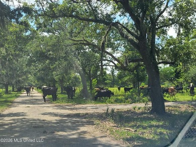 Opportunity is endless! 183 acres in Bay St. Louis! Over 1/2 - photo 7