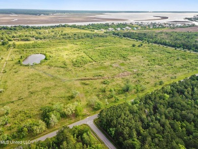 Opportunity is endless! 183 acres in Bay St. Louis! Over 1/2 - photo 9