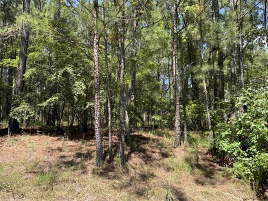 Very nice building lot on the Reynolds Landing Golf Course - photo 2