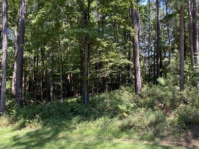 Very nice building lot on the Reynolds Landing Golf Course - photo 3