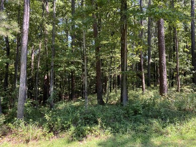 Very nice building lot on the Reynolds Landing Golf Course - photo 4
