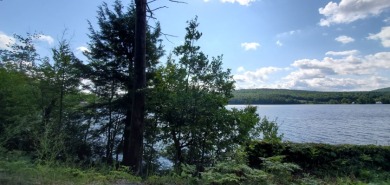 Lake Front Building Lot - Lake Acreage For Sale in Horicon, New York