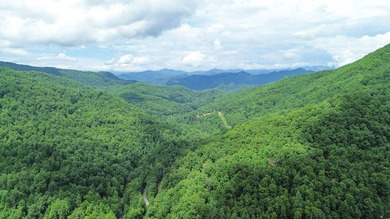 Mountain Retreat in Glenville, NC!! Tucked away in the serene - photo 36