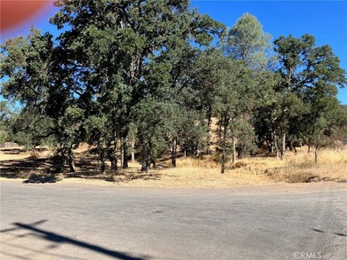 Clear Lake Lot For Sale in Clearlake California
