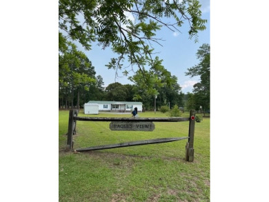 Lake Home For Sale in Manning, South Carolina
