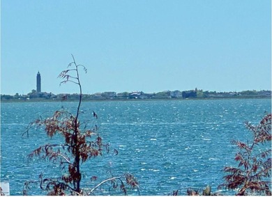 One of a kind waterfront new construction offering 4 bedrooms - photo 20