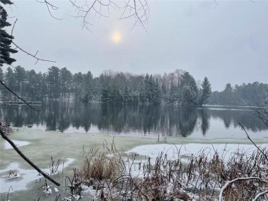 Otter Lake - Chippewa County Homes for Sale Real Estate Lakefront