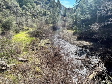 40 acres with creeks on each side and a sunny ridge in the - photo 22