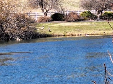 This Williamson Riverfront Home! Features 3 Bedrooms 2 Baths - photo 33