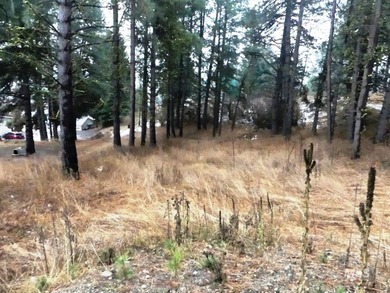 Lake Lot For Sale in Cascade, Idaho