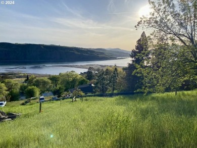 Columbia River - Klickitat County Lot For Sale in Lyle Washington