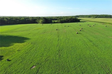 NEW PRICE! Separated out 26.7 acres as a separate listing. See - photo 3