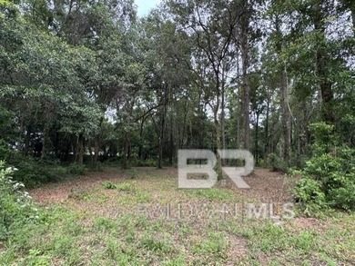 Set within a gated Foley enclave near Weeks Bay, this 2.54-acre - photo 11