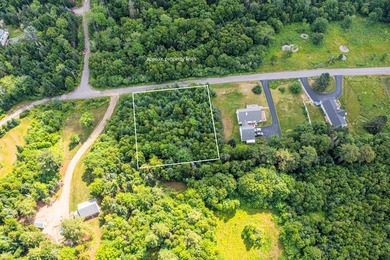 Bring your building plans to this pretty 1.02-acre surveyed lot - photo 5