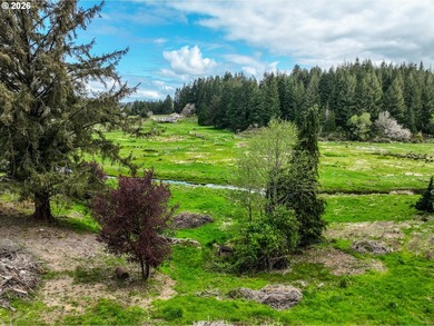 4.18 beautiful and useable acres outside of city limits with 2 - photo 16