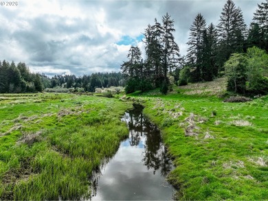 4.18 beautiful and useable acres outside of city limits with 2 - photo 17