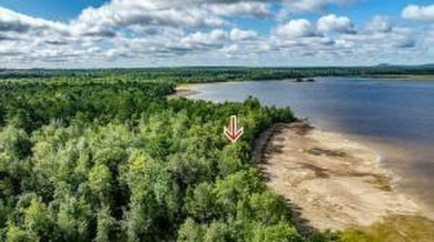 Lake Acreage For Sale in Ellsworth, Maine
