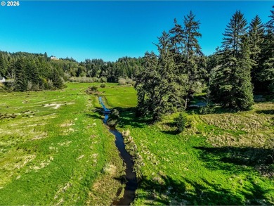 4.18 beautiful and useable acres outside of city limits with 2 - photo 21