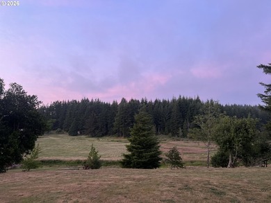 4.18 beautiful and useable acres outside of city limits with 2 - photo 32
