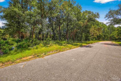 Discover the perfect setting for your future home with this - photo 4
