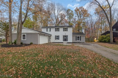 Lake Erie - Lorain County Home Sale Pending in Avon Lake Ohio